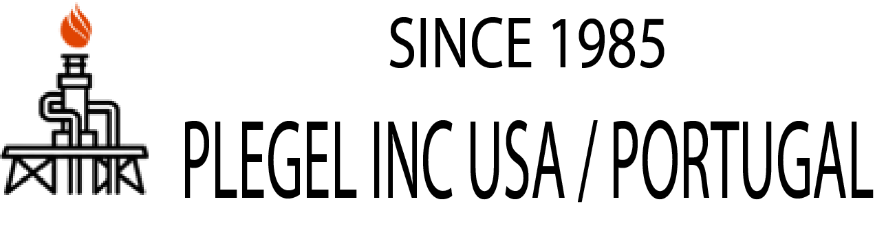 logo not found